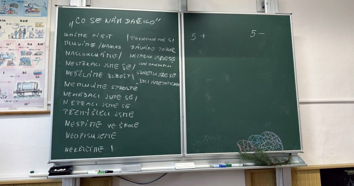 Role pravidel a struktury v debatě MADIO
