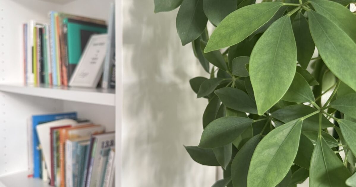 Mentoring nebo koučink – co zvolit MADIO