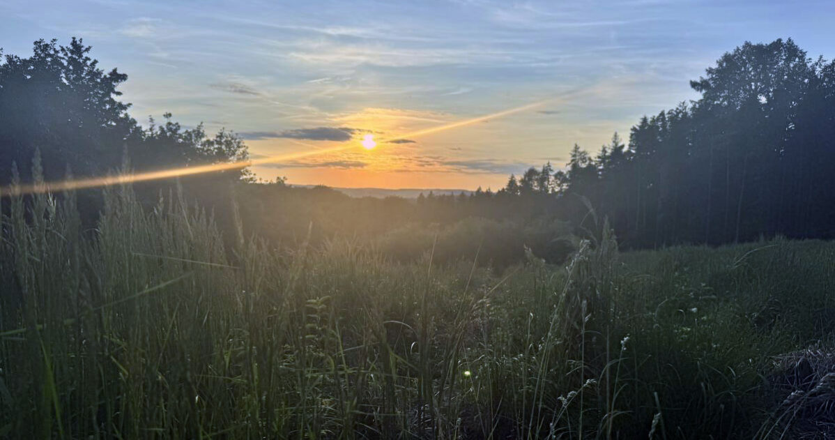 Vědomé ukončení starých přístupů MADIO Vědomé ukončení starých přístupů MADIO