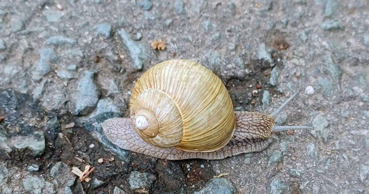 Co s argumentem „To u nás nejde“ MADIO