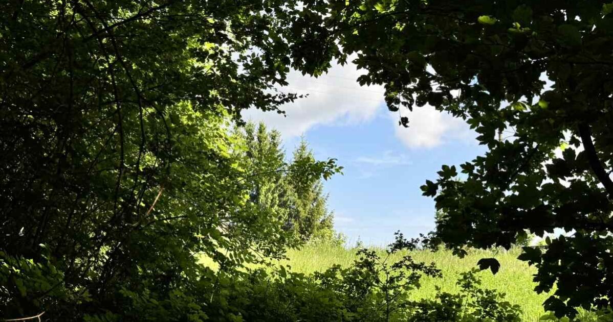 Jak mluvit o těžkých věcech s dětmi – bez strašení a bagatelizace? MADIO