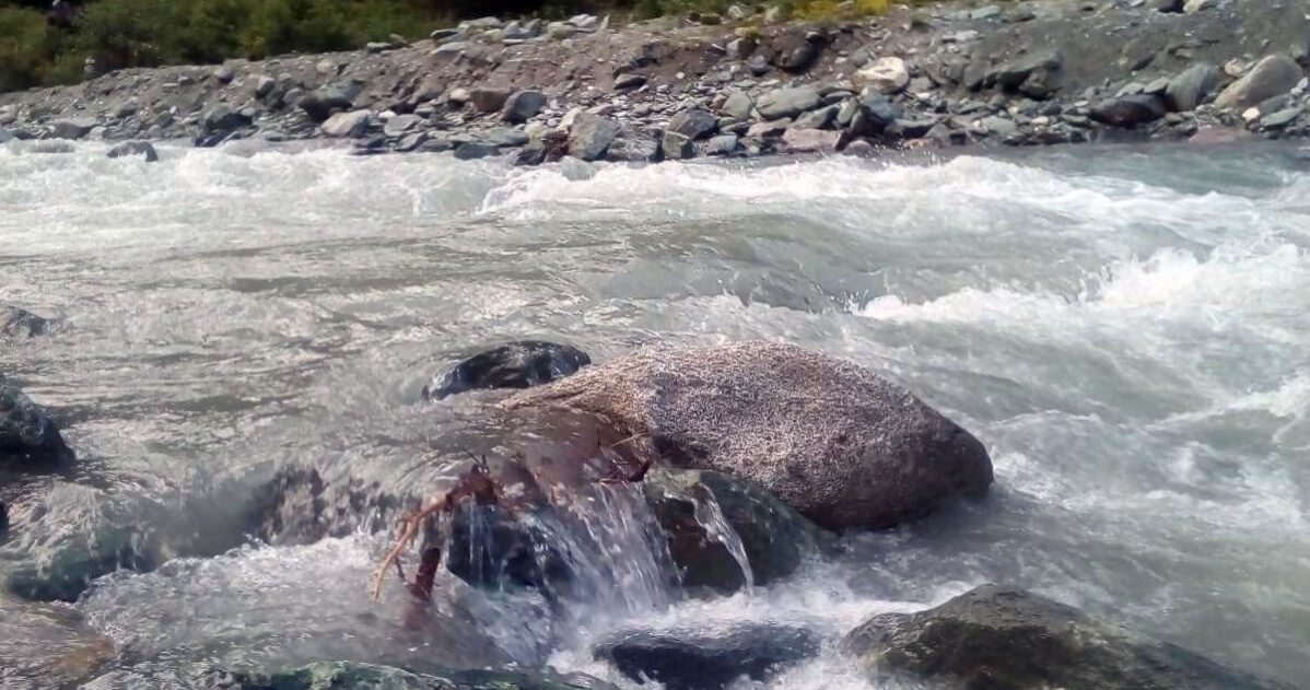 Následná podpora a koučink jako kotva MADIO Následná podpora a koučink jako kotva MADIO