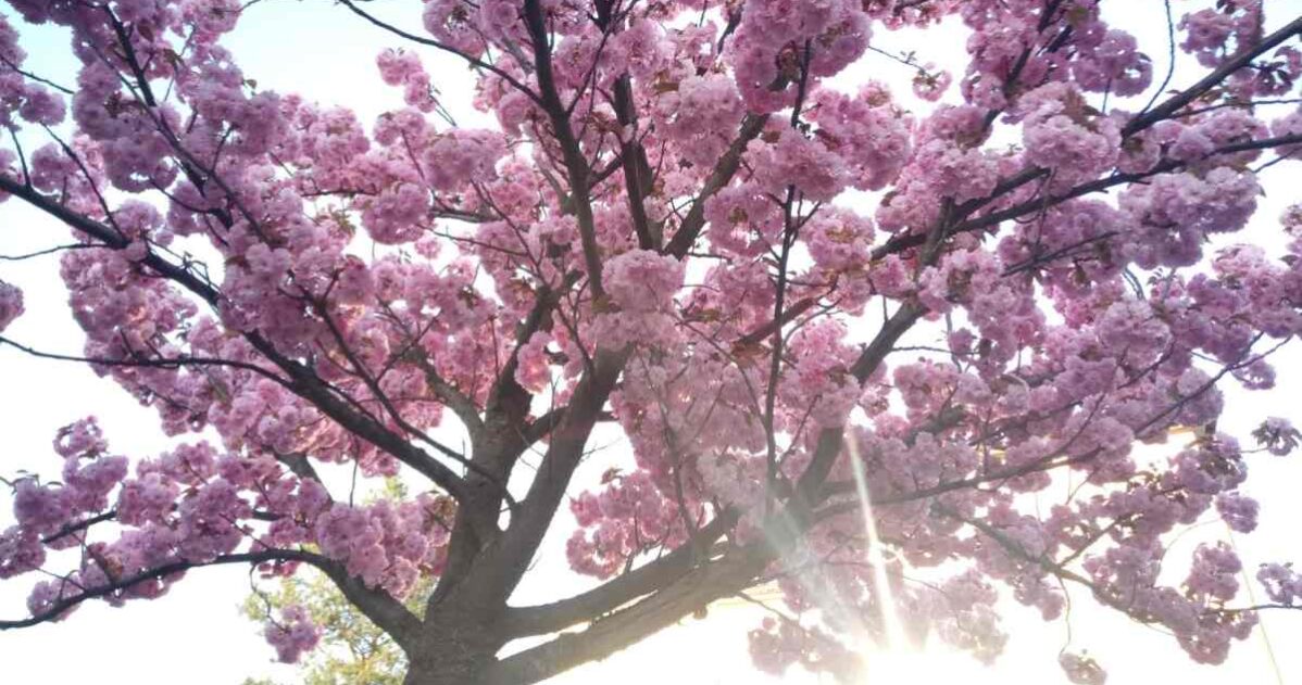 Rozloučení, které není jen formální MADIO