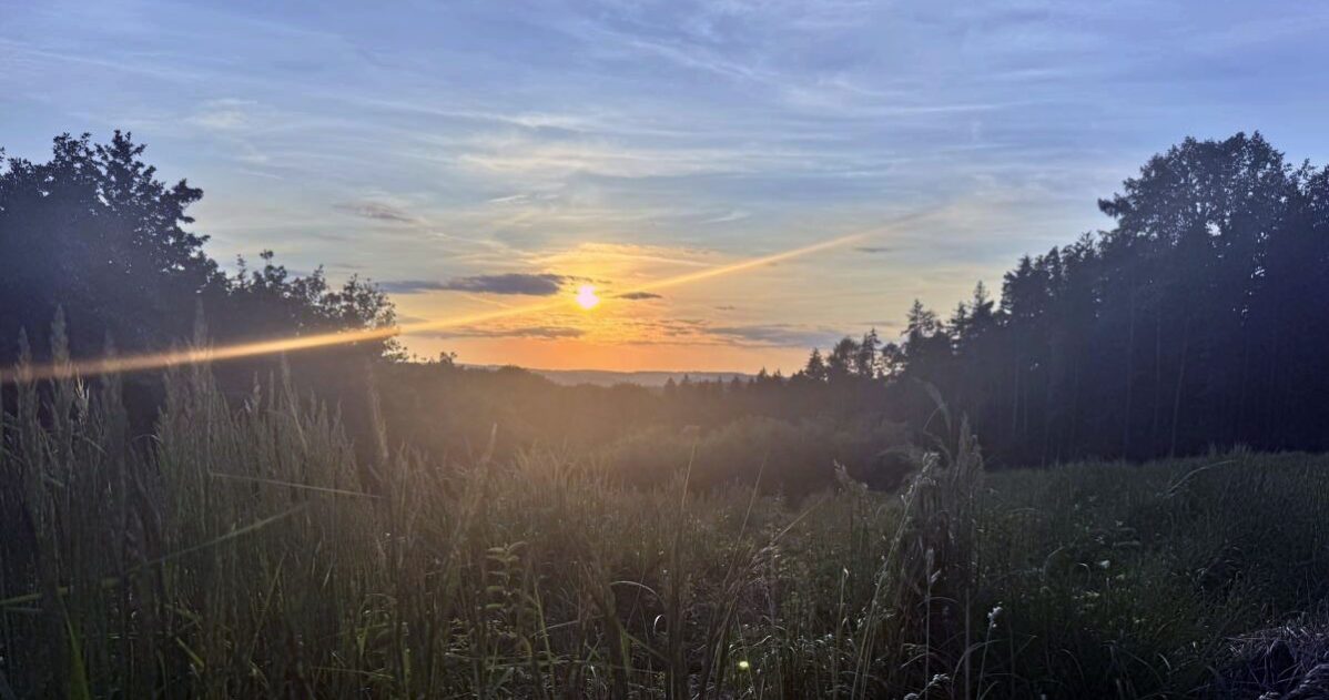 Vzájemná podpora jako nová norma: když se třída stane bezpečným místem MADIO Vzájemná podpora jako nová norma: když se třída stane bezpečným místem MADIO
