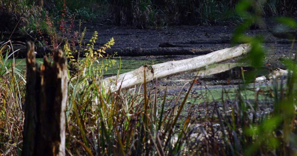 Jak jednat s vlivovými odpůrci MADIO Jak jednat s vlivovými odpůrci MADIO