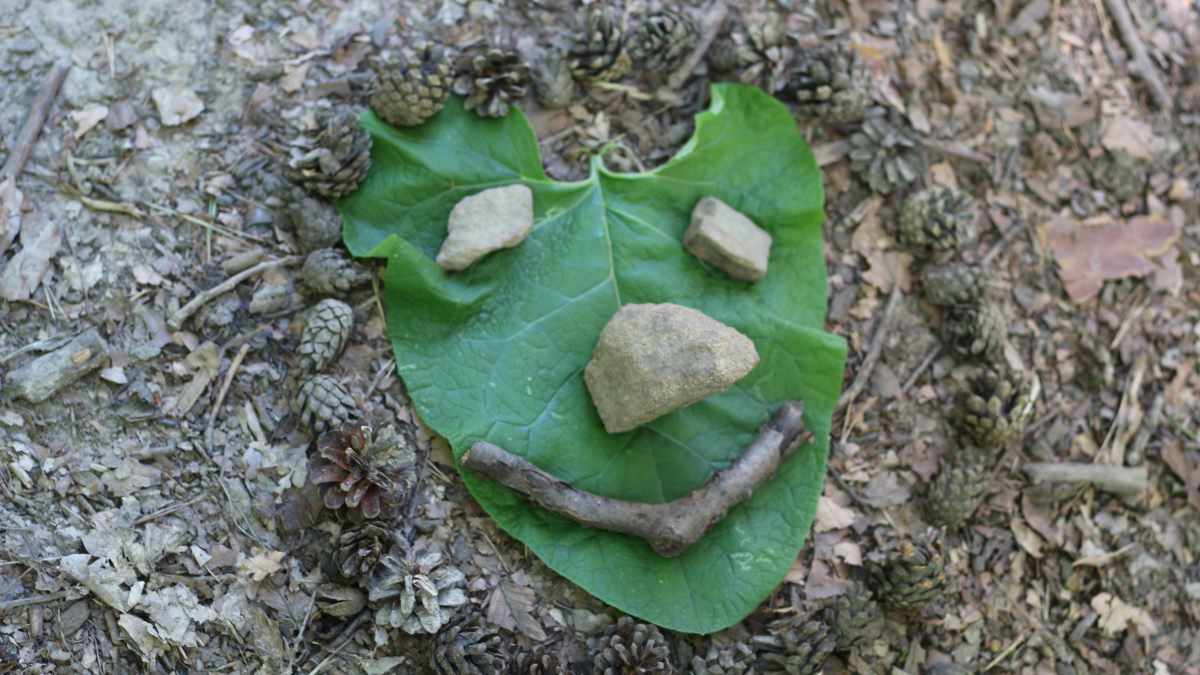 Techniky – učme děti číst své emoce MADIO